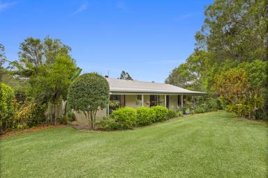 Farm For Sale - NSW - Bellingen - 2454 - Rare Opportunity - Your piece of paradise awaits!  (Image 2)