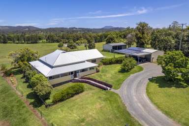 Farm For Sale - NSW - Bellingen - 2454 - Bellingen Country Living with Plenty of Potential  (Image 2)