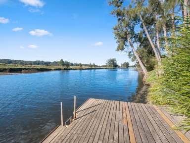 Farm For Sale - NSW - Bellingen - 2454 - Superb Lifestyle Property - Accommodation Options - Stunning Views - Bellinger River Frontage  (Image 2)