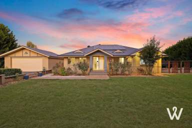 Farm For Sale - NSW - Murrumbateman - 2582 - Making it home.  (Image 2)