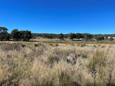 Farm For Sale - QLD - Stanthorpe - 4380 - Stanthorpe beautiful vacant land prime location  (Image 2)