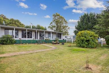 Farm For Sale - NSW - Goulburn - 2580 - "Hartlea" On 20 Acre's  (Image 2)