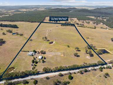 Farm For Sale - NSW - Goulburn - 2580 - Close To Town and A Lot To See!  (Image 2)