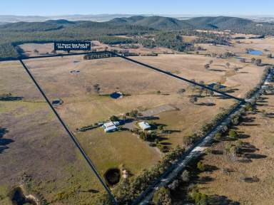 Farm For Sale - NSW - Goulburn - 2580 - Close To Town and A Lot To See!  (Image 2)