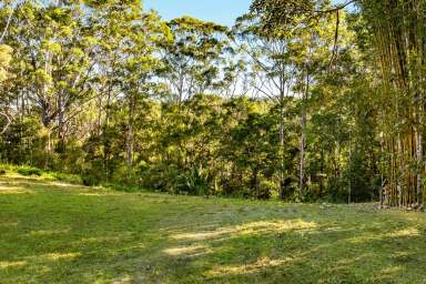 Farm For Sale - QLD - Tinbeerwah - 4563 - Exceptional Opportunity - Vacant Land in Tinbeerwah  (Image 2)