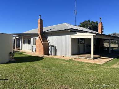 Farm For Sale - NSW - Nyngan - 2825 - EAST NYNGAN  (Image 2)