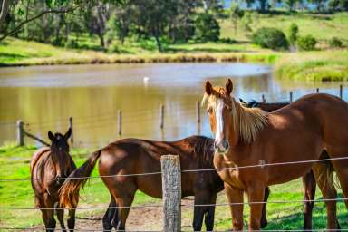 Farm For Sale - QLD - Biddaddaba - 4275 - Biddaddaba Estate  (Image 2)