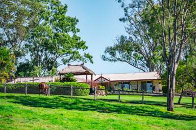 Farm For Sale - QLD - Biddaddaba - 4275 - Biddaddaba Estate  (Image 2)