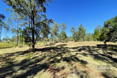 Farm Sold - QLD - Glenwood - 4570 - WHAT A BUY!  (Image 2)