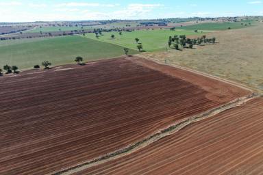 Farm For Sale - NSW - Junee - 2663 - Gundary Aggregation  (Image 2)