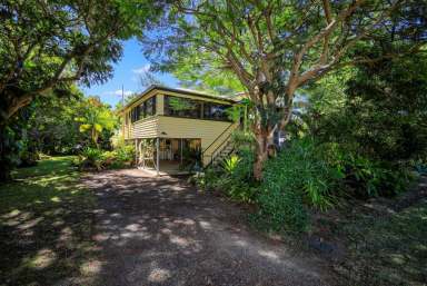 Farm Sold - QLD - Bundaberg North - 4670 - ACREAGE ON CITY FRINGE WITH A REAL TROPICAL OASIS FEEL - WHAT A FIND !!!  (Image 2)