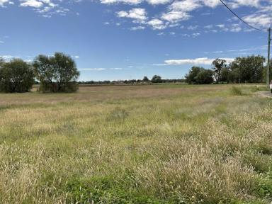 Farm For Sale - NSW - Coonamble - 2829 - Industrial Land!  (Image 2)