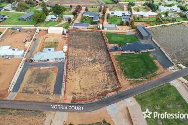 Farm For Sale - VIC - Red Cliffs - 3496 - 1-Acre Allotment - Ready to Build On!  (Image 2)