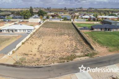 Farm For Sale - VIC - Red Cliffs - 3496 - 1-Acre Allotment - Ready to Build On!  (Image 2)