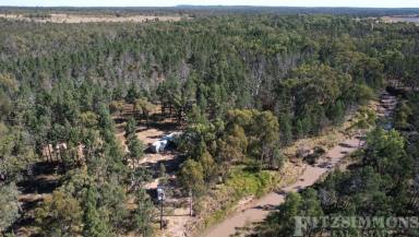 Farm Sold - QLD - Dalby - 4405 - "MORAMBY CREEK"- The Great Escape  (Image 2)