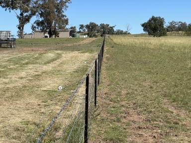 Farm For Sale - NSW - Warialda - 2402 - Rural Subdivision  (Image 2)