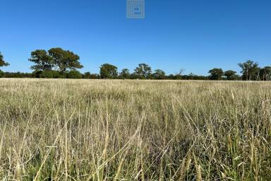 Farm For Sale - NSW - Come By Chance - 2832 - Turnkey Broadacre Farming and Grazing  (Image 2)