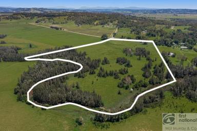 Farm For Sale - NSW - Ruthven - 2480 - PERFECT WEEKENDER OR GRAZING LAND  (Image 2)
