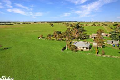 Farm For Sale - VIC - Yarram - 3971 - THE PERFECT TURNOUT PADDOCK  (Image 2)