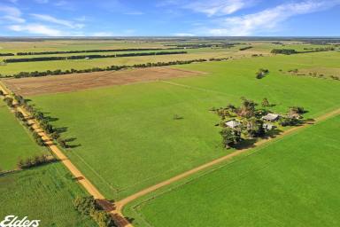 Farm For Sale - VIC - Yarram - 3971 - THE PERFECT TURNOUT PADDOCK  (Image 2)