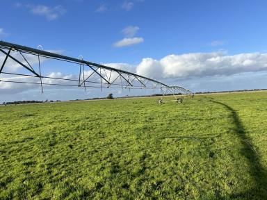 Farm For Sale - SA - Kongorong - 5291 - Solid Irrigation and Dairy Opportunity  (Image 2)
