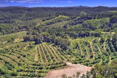 Farm Auction - QLD - Ridgewood - 4563 - Serene Paradise Awaits - 20 Acres in Noosa Hinterland Back On the Market  (Image 2)