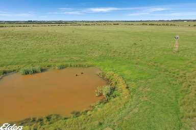 Farm Sold - VIC - Yarram - 3971 - 53 ACRES - CLOSE TO TOWN  (Image 2)