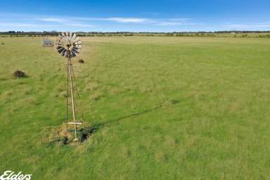 Farm Sold - VIC - Yarram - 3971 - 53 ACRES - CLOSE TO TOWN  (Image 2)