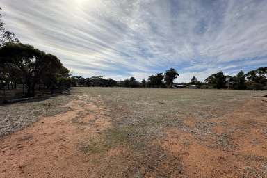 Farm Sold - WA - Katanning - 6317 - Build Your Dream Home With Room To Spare  (Image 2)