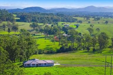 Farm Sold - NSW - Dondingalong - 2440 - Coast to Country - 3.5 acres with Spectacular Hinterland Views!  (Image 2)