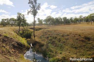 Farm Sold - QLD - Barambah - 4601 - Fantastic Large Acreage -70 Acres.  (Image 2)