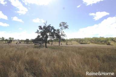 Farm Sold - QLD - Barambah - 4601 - Fantastic Large Acreage -70 Acres.  (Image 2)