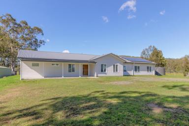 Farm For Sale - NSW - Dungog - 2420 - Your Dream Acreage Lifestyle  (Image 2)