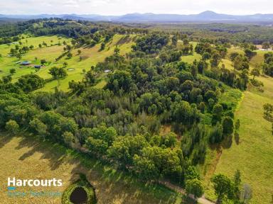 Farm For Sale - NSW - Minimbah - 2312 - Get back to Nature  (Image 2)