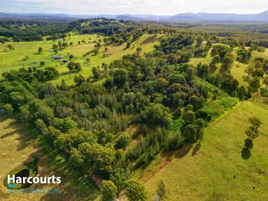 Farm For Sale - NSW - Minimbah - 2312 - Get back to Nature  (Image 2)