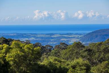 Farm For Sale - NSW - Mount Murray - 2577 - Highlands Retreat with Ocean Views  (Image 2)