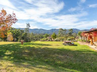 Farm Sold - NSW - Bemboka - 2550 - 100 ACRES, GLORIOUS MOUNTAIN VIEWS  (Image 2)