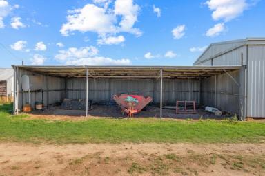 Farm For Sale - VIC - Garvoc - 3265 - TOP QUALITY WARRNAMBOOL DISTRICT COUNTRY  (Image 2)