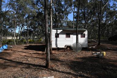 Farm For Sale - VIC - Inglewood - 3517 - Fully Native Tree's Allotment  (Image 2)
