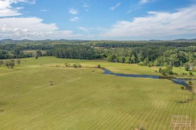 Farm For Sale - NSW - Herons Creek - 2439 - BUILD YOUR OWN DREAM 40.3 ha ( 100 acres ) - 20 MINUTES FROM PORT MACQUARIE  (Image 2)