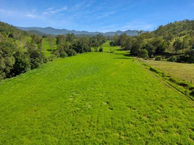 Farm For Sale - QLD - Pinnacle - 4741 - 587 ACRES OF COASTAL GRAZING  (Image 2)