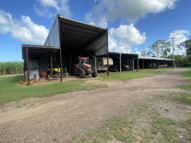 Farm For Sale - QLD - Koumala - 4738 - Cane Farming Opportunity at Koumala  (Image 2)