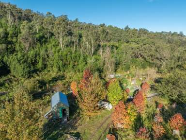 Farm Sold - NSW - Brogo - 2550 - VALUE FOR MONEY!  (Image 2)