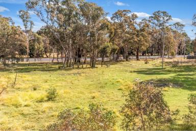 Farm For Sale - VIC - Tooborac - 3522 - Double block in the centre of town.  (Image 2)