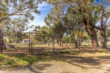 Farm For Sale - VIC - Tooborac - 3522 - Double block in the centre of town.  (Image 2)