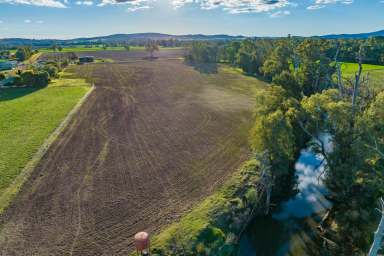 Farm Sold - NSW - Canowindra - 2804 - PRIME IRRIGATION & SELF WATERING RIVER FLATS + 562ML IRRIGATION ENTITLEMENT!  (Image 2)