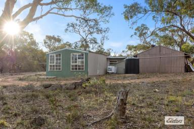 Farm For Sale - VIC - Wallaloo East - 3387 - Rare Country Hideaway  (Image 2)