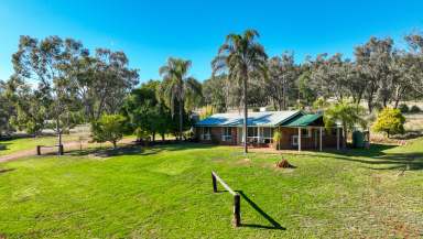 Farm For Sale - NSW - Boggabri - 2382 - First  time offered in over 60 years  (Image 2)