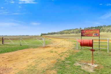 Farm Auction - NSW - Boggabri - 2382 - First  time offered in over 60 years  (Image 2)