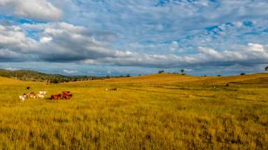 Farm Sold - QLD - Tansey - 4601 - Another Sale by Ian Newson @ Ray White Mundubbera  (Image 2)